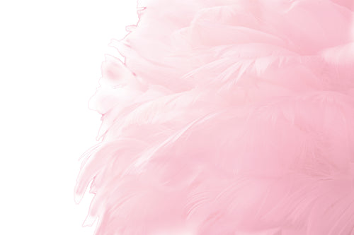 Mauro Ferretti vloerlamp - Ø 50x165 cm - roze
