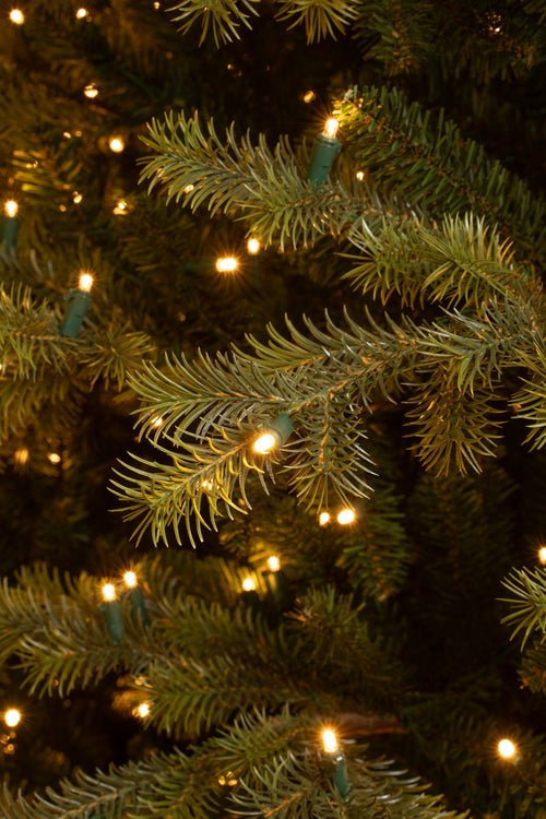 Black Box Trees Clive Kunstkerstboom met LED Verlichting - H185 x Ø130 cm - Groen - vtwonen shop