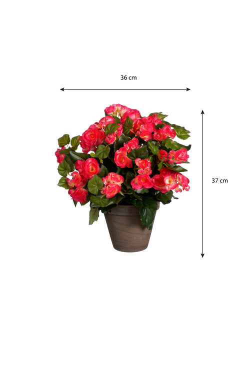 Mica Decorations Begonia Kunstplant in Bloempot Stan - H37 x Ø36 cm - Donkerroze