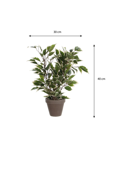 Mica Decorations Ficus Natasja Kunstplant in Bloempot Stan - H40 x Ø30 cm - Groen Bont