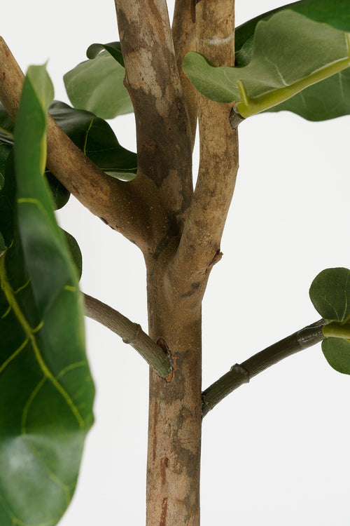 Mica Decorations Ficus Lyrata Kunstplant - H165 x Ø95 - Groen - vtwonen shop