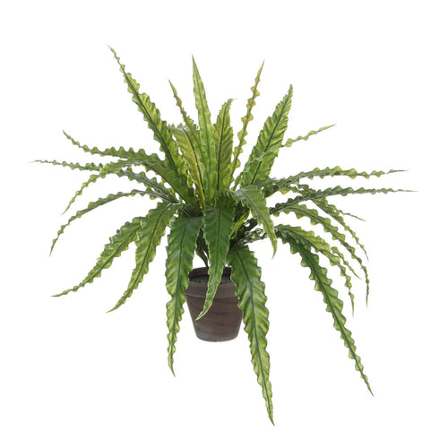 Mica Decorations Asplenium Kunstplant in Bloempot Stan - H54 x Ø66 cm - Groen