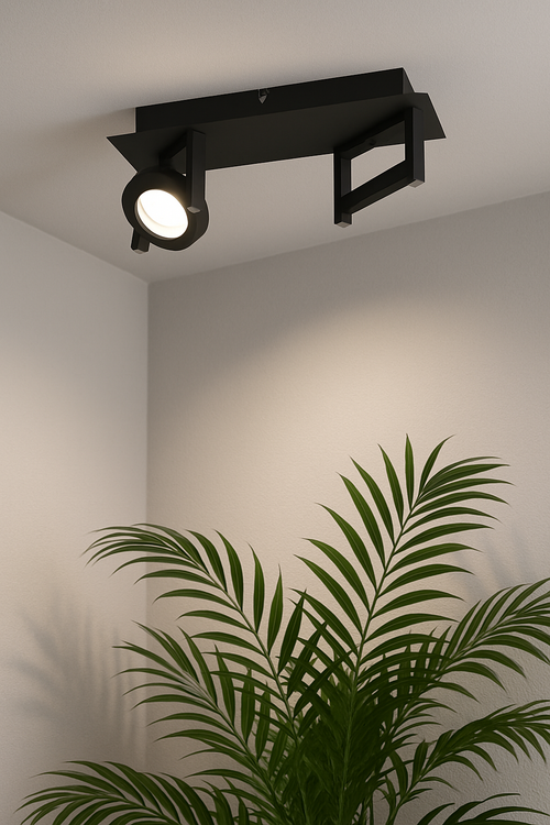 EGLO opbouwspot Trastanello - led - 2 lichts - zwart - vtwonen shop