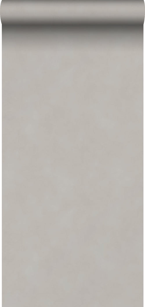 Sanders & Sanders behang effen donker taupe - 53 cm x 10,05 m - 935209 - vtwonen shop