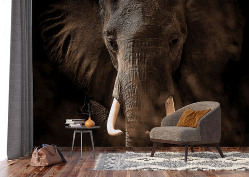 Sanders & Sanders fotobehang olifant donkerbruin - 375 x 270 cm - 601021
