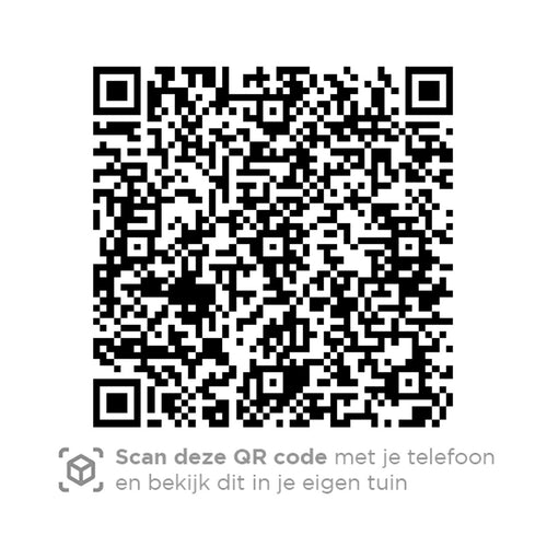 4 Seasons loungestoel Capitol donker grijs - vtwonen shop