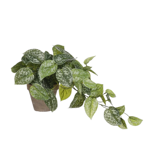 Shop de Kunstplanten