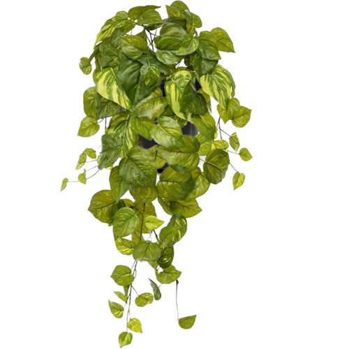 Maxifleur Pothos kunst hangplant 55cm - bont in pot