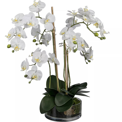 Flourify - Kunstbloem - Orchidee - 50 cm - vtwonen shop