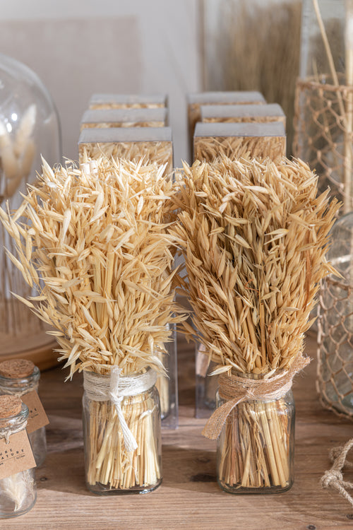 J-Line droogbloemen - Bundel gedroogde Avana gras in vaas - naturel - 2 stuks - vtwonen shop