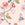 Cath Kidston Vliesbehang - Catnip Neutral