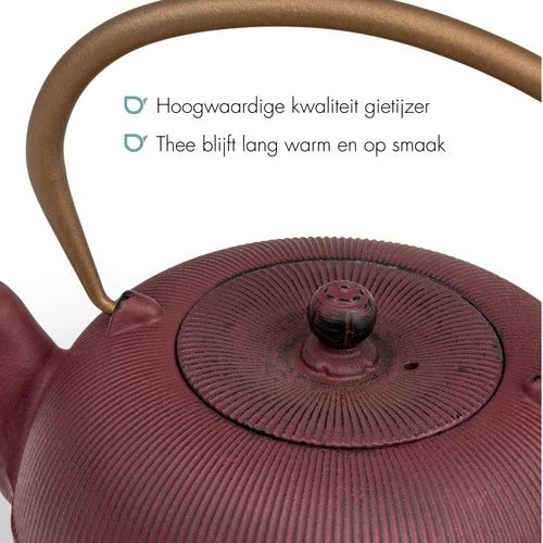 Bredemeijer - Gietijzeren theepot Sichuan - 1 liter - Plum - Met filter - vtwonen shop