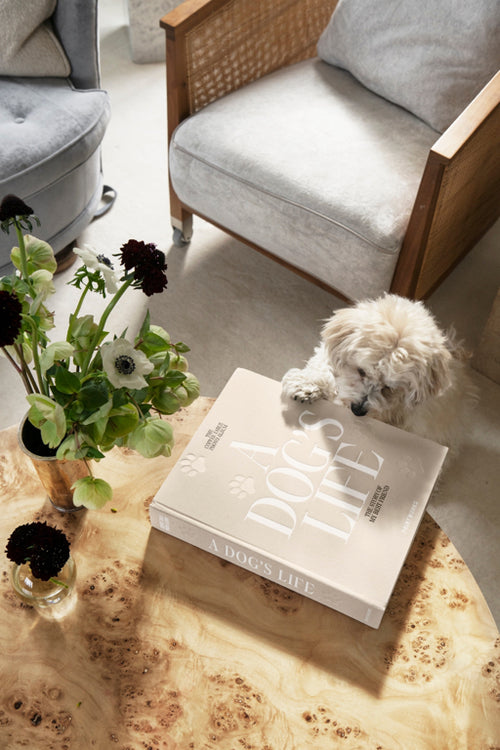 Printworks Fotoalbum Hond - A Dog's Life - vtwonen shop