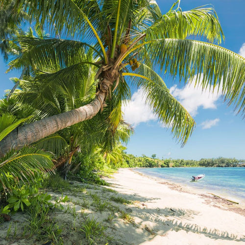 Sanders & Sanders fotobehang palmbomen op het strand groen en blauw - 450 x 280 cm - 612690