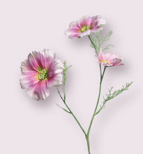 My Flowers.shop Roze cosmea zijden bloem | Lengte  65 centimeter | Per stuk - vtwonen shop