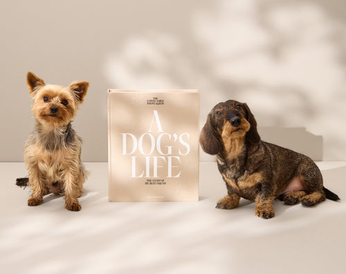 Printworks Fotoalbum Hond - A Dog's Life - vtwonen shop