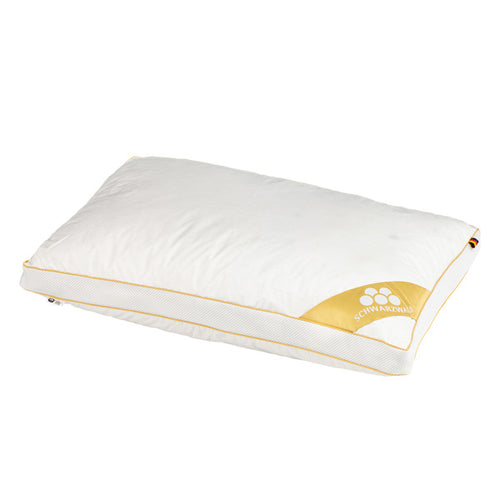 Balette - Greenfirst Donzen Bedset - Dekbed & Hoofdkussens - 200x220cm