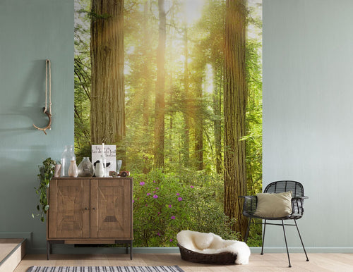 Sanders & Sanders fotobehang bos groen - 200 x 250 cm - 612547