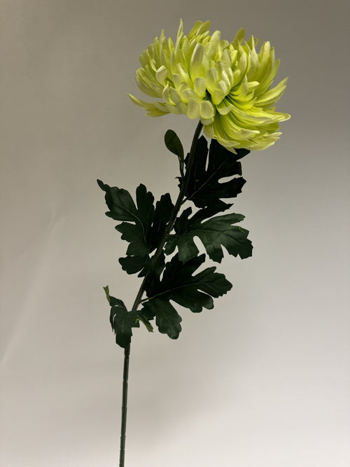 My Flowers.shop Groene chrysant XL zijden bloem | Lengte 90 centimeter | Per stuk - vtwonen shop