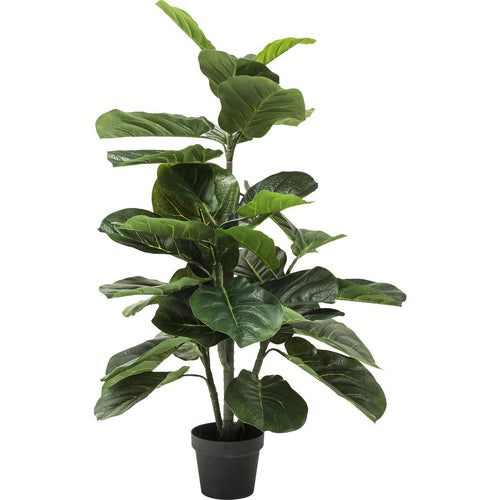 Kare Design Kunstplanten - Ficus Lyrata - 120cm - vtwonen shop