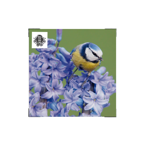 Art for the Home Buitencanvas - Vogel op een bloem - 50x50cm