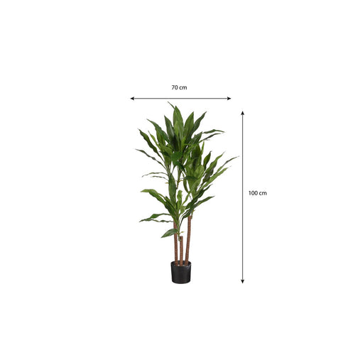 Mica Decorations Dracaena Kunstplant - H100 x Ø70 cm