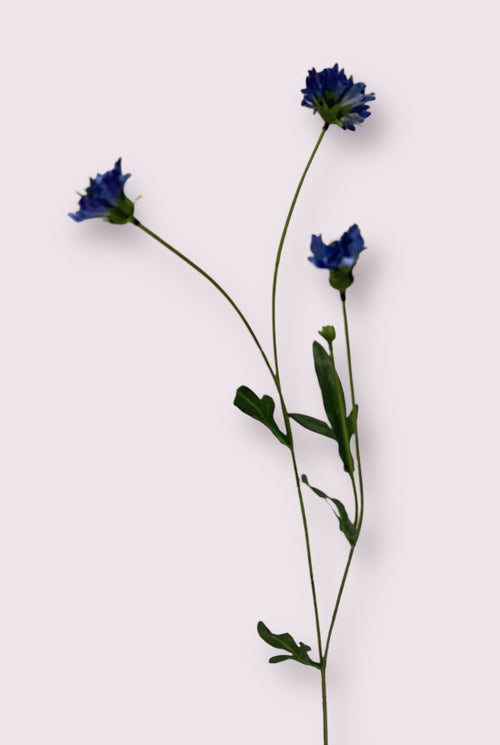 My Flowers.shop Blauwe zijden korenbloem | Lengte 59 centimeter | Per stuk - vtwonen shop