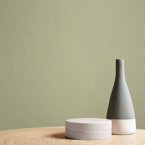 Graham & Brown Turtle Shell - Matte Muurverf - 4L - vtwonen shop