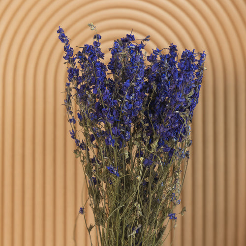 My Flowers.shop Blauw gedroogde Ridderspoor | Blauwe Delphinium droogbloemen | Lengte ± 70 centimeter | Per bos - vtwonen shop