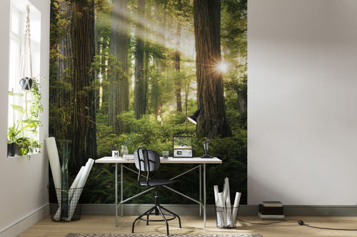Sanders & Sanders fotobehang bos groen - 250 x 280 cm - 612586