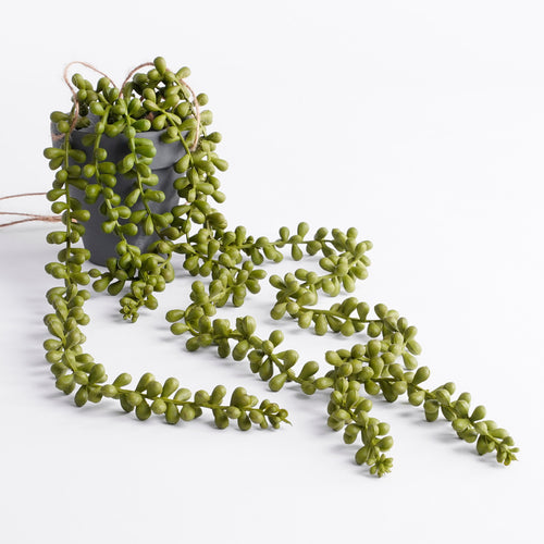 Mica Decorations Senecio Kunst Hangplant - H56 x Ø9 cm - Groen - vtwonen shop