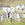 Sanders & Sanders fotobehang jungle dieren beige en zwart wit - 424 x 280 cm - 640894
