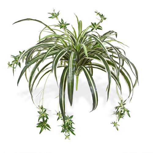 Maxifleur Chlorophytum Kunsthangplant 50cm