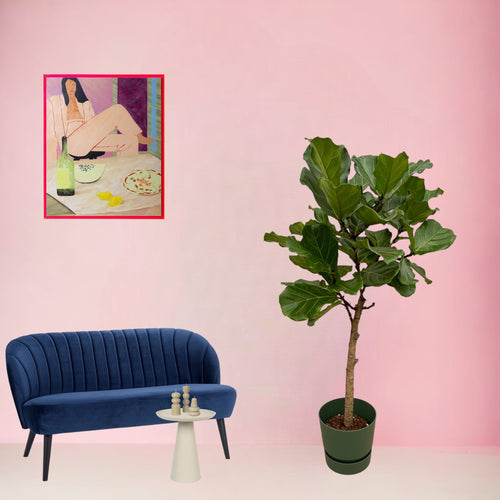 Trendyplants - Ficus Lyrata stam inclusief elho Greenville Round groen - 160 cm - Ø30cm - vtwonen shop