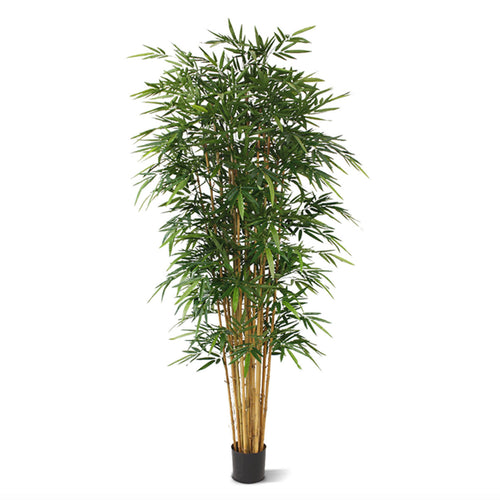 Maxifleur Bamboe deluxe kunstboom 240cm