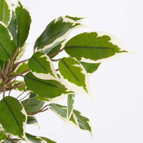 Mica Decorations Ficus Natasja Kunstplant in Bloempot Stan - H40 x Ø30 cm - Groen Bont