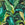 Envy Vliesbehang - Leaf It Out Midnight