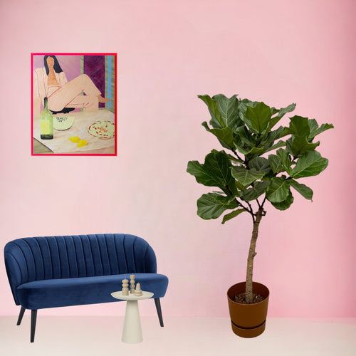 Trendyplants - Ficus Lyrata stam inclusief elho Greenville Round bruin - 160 cm - Ø30cm - vtwonen shop