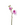 Sia Deco Kunstmatige Phalaenopsis Orchidee Stengel - Roze - H21