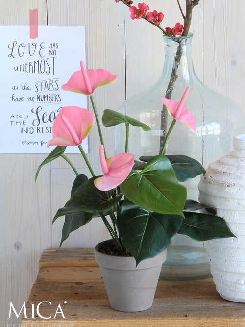 Mica Decorations Anthurium Kunstplant in Bloempot Stan - H40 x Ø30 cm - Lichtroze - vtwonen shop