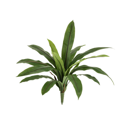 Maxifleur Asplenium Antiquum Kunstvaren 40cm