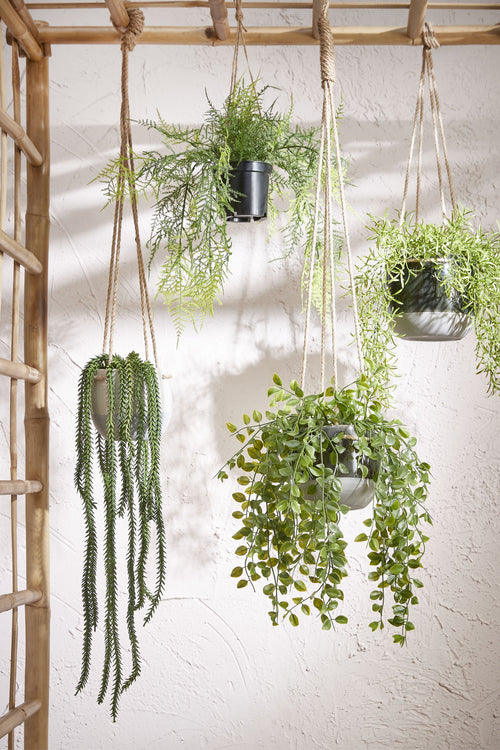 Mica Decorations Ficus Kunst Hangplant in Pot - H46 x Ø20 cm - Groen
