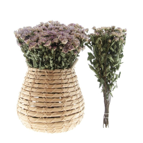 My Flowers.shop Tien gedroogde lavendel-grijze trosrozen | Lengte 50 centimeter | Per bos te bestellen - vtwonen shop