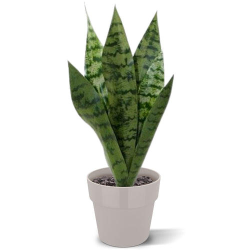 Maxifleur Sanseveria kunstplant 40cm - groen