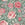 Laura Ashley Vliesbehang - Wild Roses Fern Groen