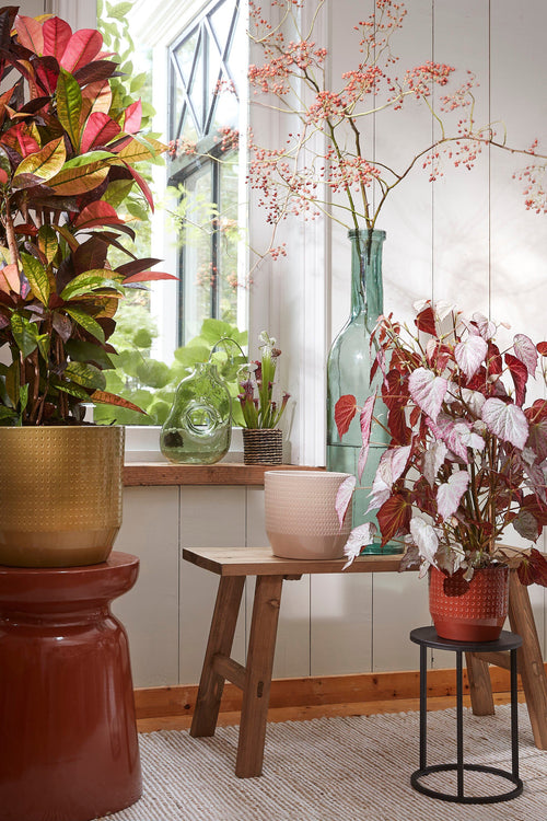 Mica Decorations Bold Houten Bankje - L80 x B37 x H44 cm - Gerecycled Hout - Bruin