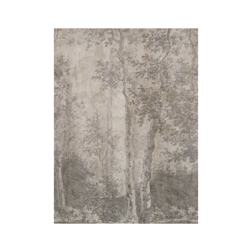 LOOKS by Wolfgang Joop Fotobehang - Berkenbomen - 270x200cm