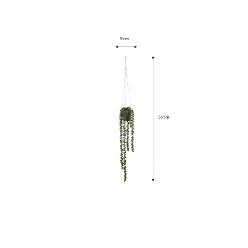 Mica Decorations Senecio Kunst Hangplant - H56 x Ø9 cm - Groen
