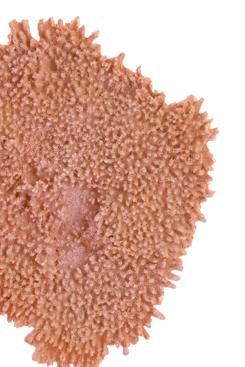 Light & Living ornament CORAL - 37x31x61.5cm - oranje