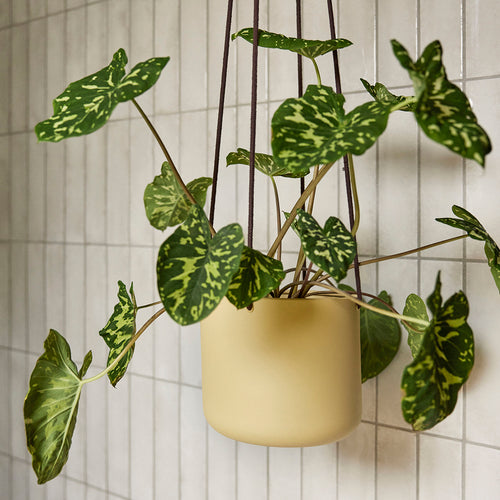 Hübsch hangende potten Bloom - katoen/ijzer - ø17xh16, ø21xh20, ø25xh24cm - vtwonen shop